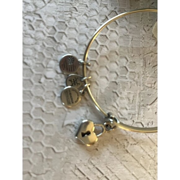 Alex and Ani Silver Heart Locket Bracelet - Picture 3 of 7